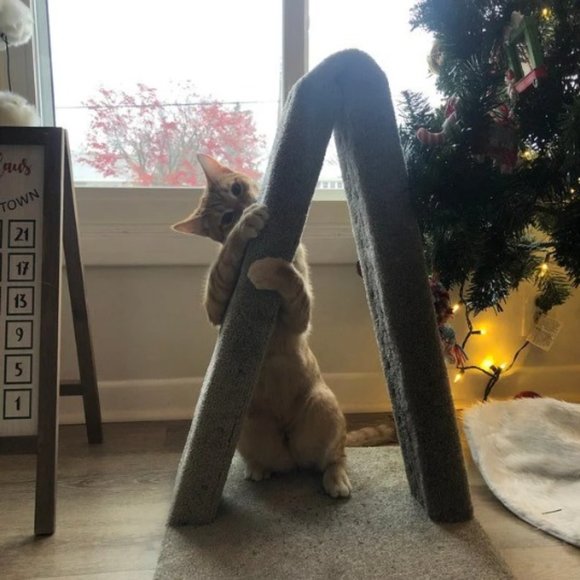 COPY - New A-Frame Cat Scratching Post - Picture 4 of 10